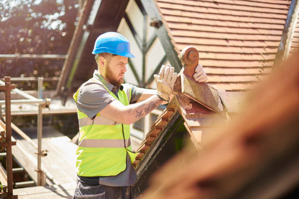 Best Roof Gutter Cleaning  in Paramus, NJ